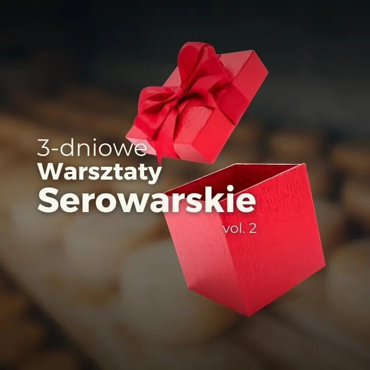 Prezent – Bilet 3DWS vol.2