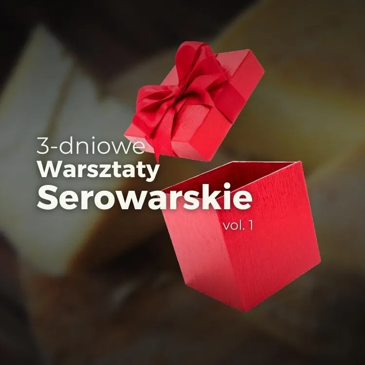 Prezent – Bilet 3DWS vol.1